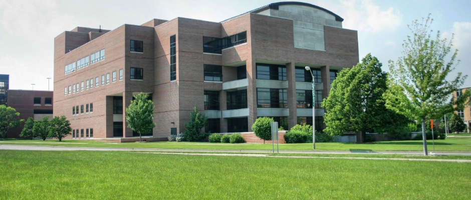 密歇根州立大学全景图片