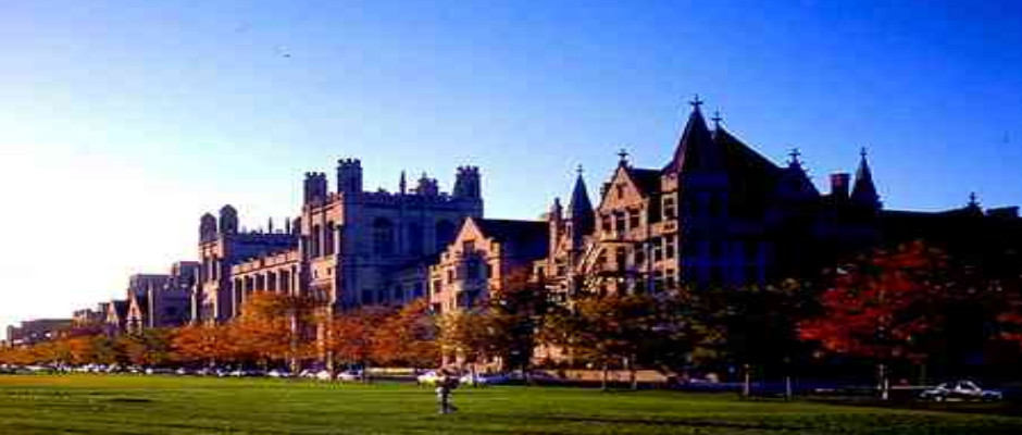 伊利诺伊大学芝加哥分校全景图片