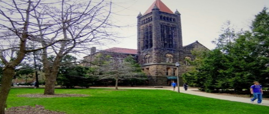 伊利诺伊大学芝加哥分校全景图片