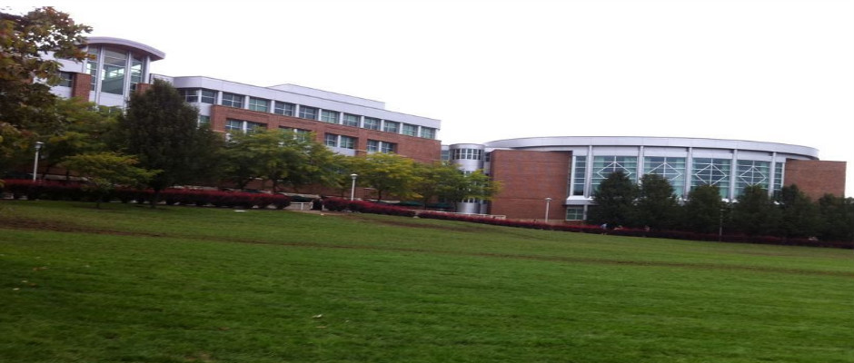 天普大学全景图片