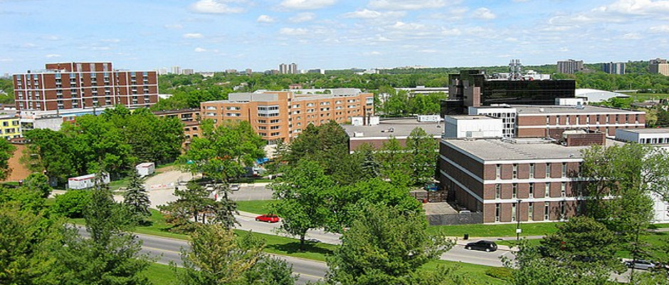 卡尔顿大学全景图片