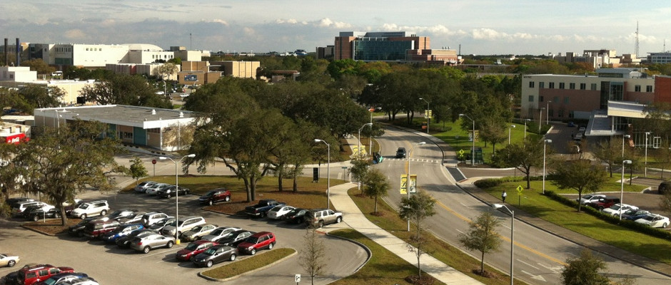 南佛罗里达大学全景图片