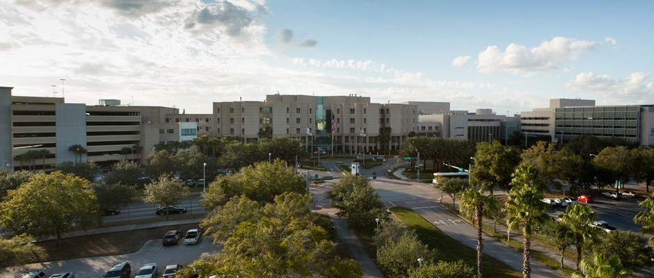 南佛罗里达大学全景图片