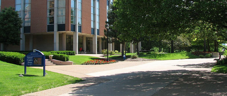 圣路易斯大学全景图片