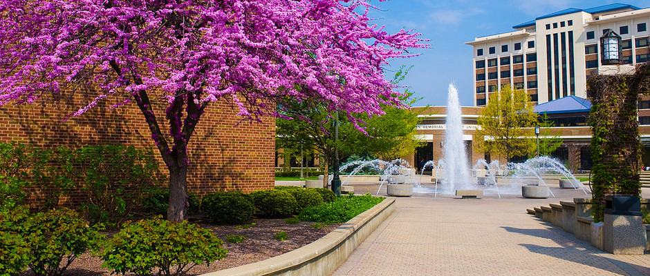 印第安纳州立大学全景图片