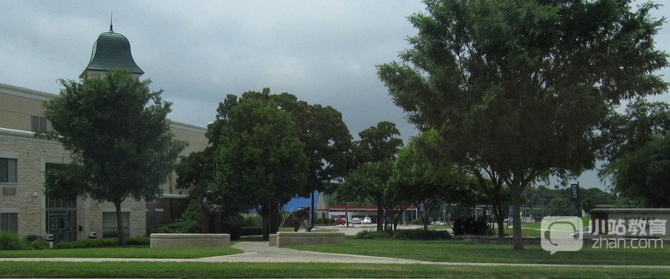 北德克萨斯州大学全景图片