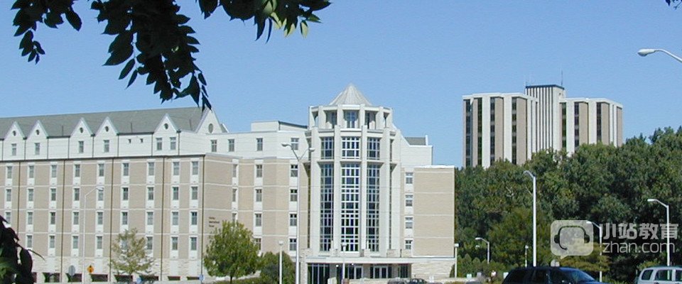 托莱多大学全景图片