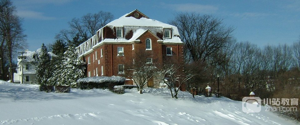 瓦格纳学院全景图片
