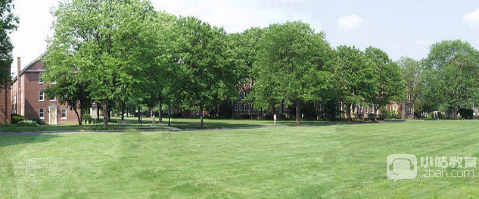 圣约瑟夫大学全景图片