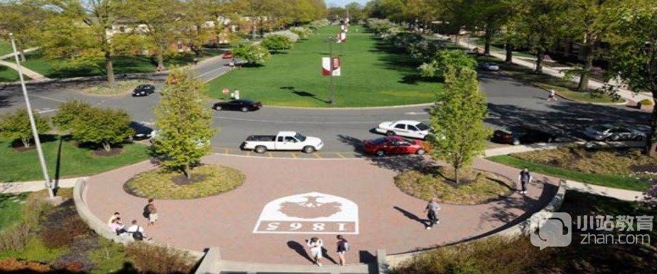 莱德大学全景图片