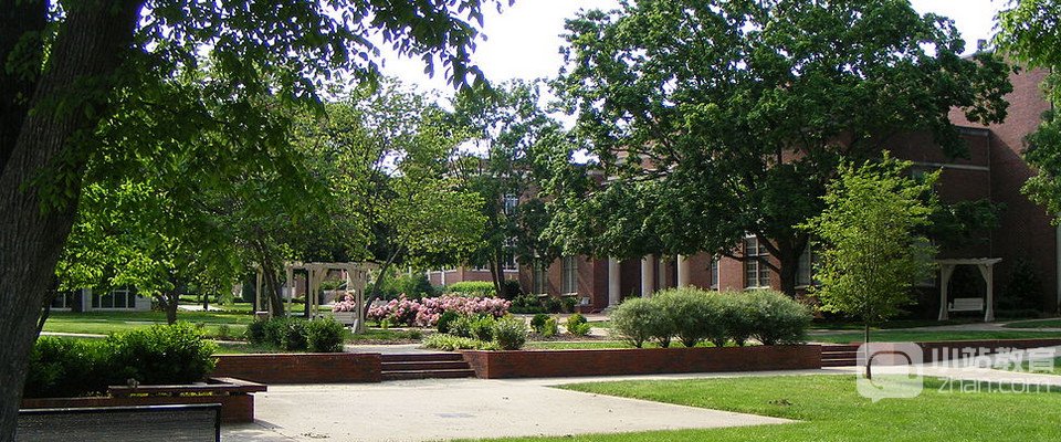 利普斯科姆大学全景图片