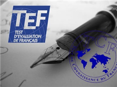什么是TEF法语水平测试？4个要点讲解