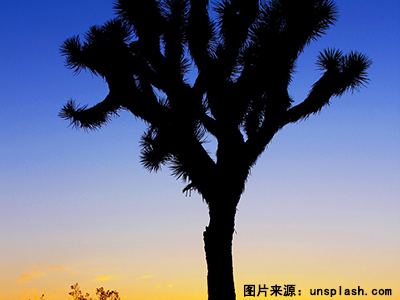 雅思听力场景之租房的必备词汇和出题思路图2