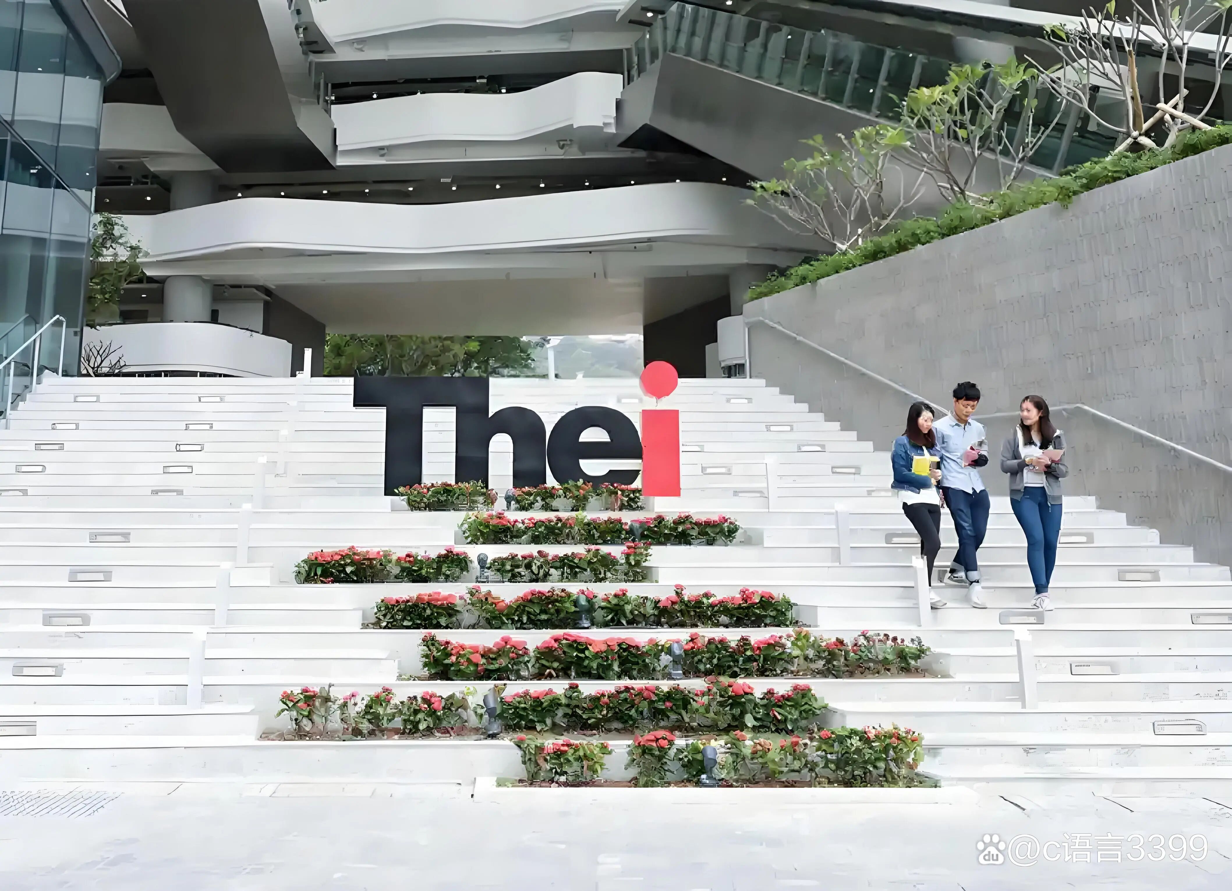 2026Fall港校新格局:四所新大学升格在即,首批学生或享语言红利与申请红利图9