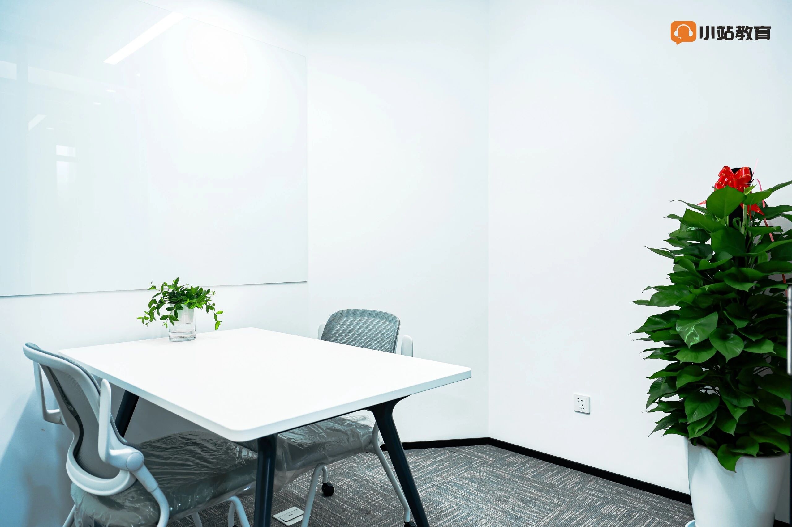 上海同济学生力荐!小站雅思徐汇线下课,官方师资周末冲 7+图19