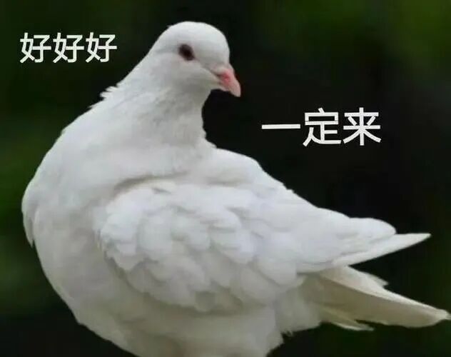 香港大学 18.7 万留位费揭晓,27fall 港校申请该如何行动?图15