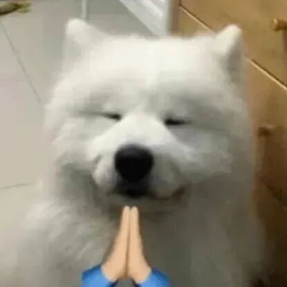 揭秘“宝藏院校”:QS排名未彰显的真正实力,雅思6.5是敲门砖图2