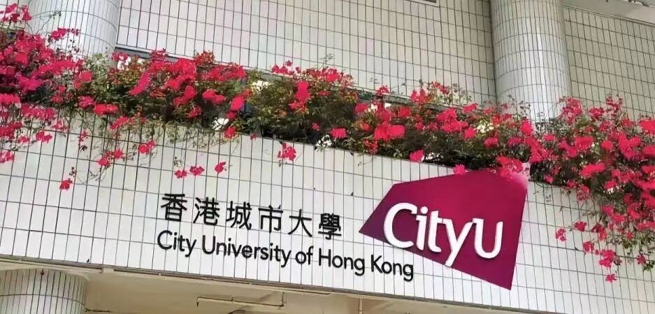 紧急避坑!香港入境处已“拉黑”4所院校!27Fall申请前必查名单更新图12