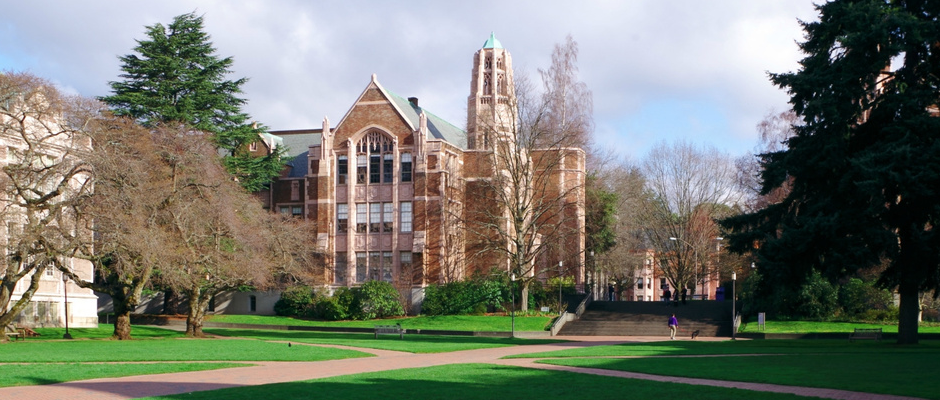 华盛顿大学西雅图分校全景图片