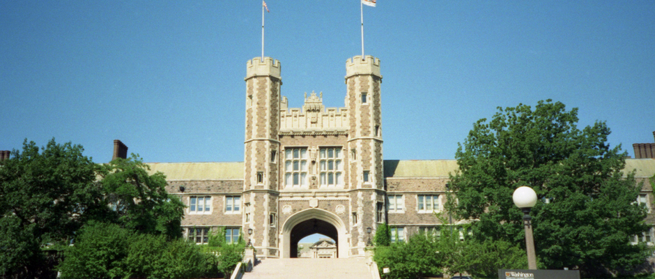 华盛顿大学圣路易斯分校全景图片