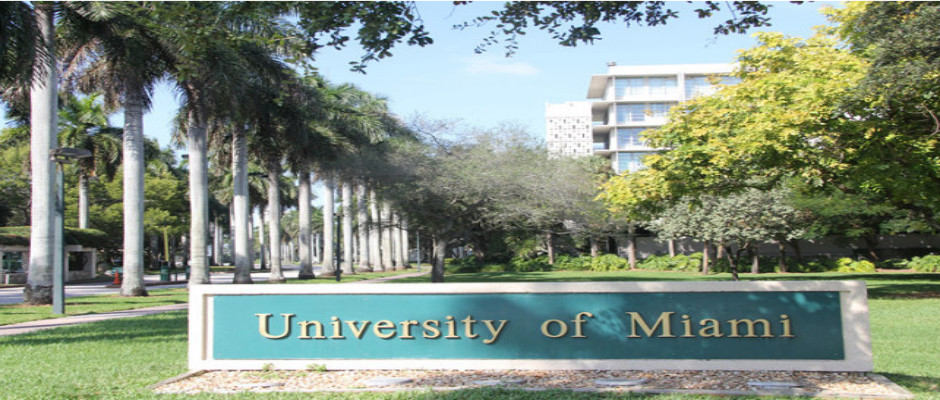 迈阿密大学全景图片