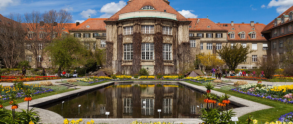 慕尼黑大学全景图片