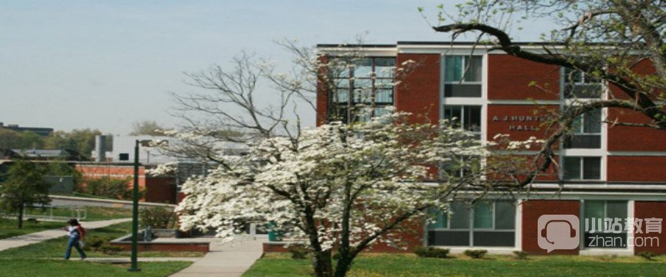 肯塔基州立大学全景图片