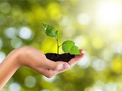 雅思考官出品--口语高分范文之Describe a beautiful garden that you like