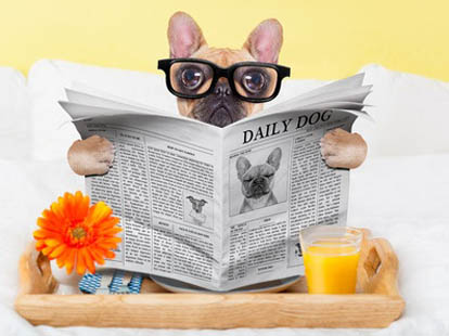 雅思口语p2物品类话题6分范文：useful thing  you borrowed