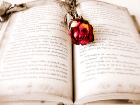 雅思写作真题范文环境类话题--过于保护动物