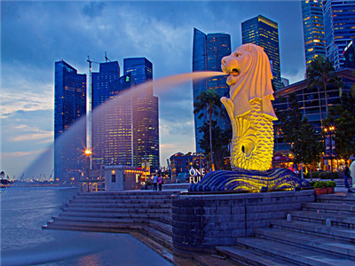 2018新加坡留学签证申请材料清单