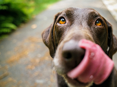 [变题加油站]雅思口语part1话题9分范文品读：购物